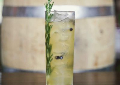 Hooked On Tonics